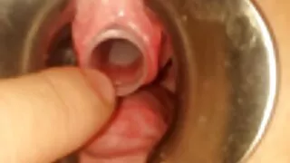 A puta latina vídeo  ...