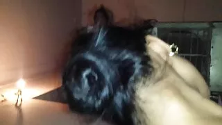 A sedutora Elektra F ...