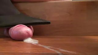 Morena com pequenos  ...