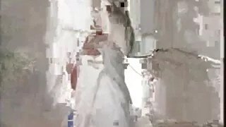 A cadela japonesa ví ...